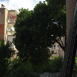 Apartment Konakli 